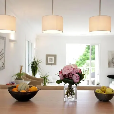 Capleouna-manou * אנטיב